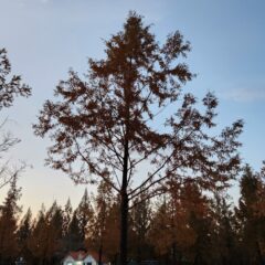 집 근처 주차장은 끝내줘요