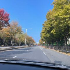 아이 어린이집 데려가기